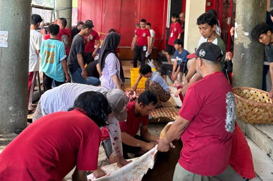 Read more about the article Pelaksanaan Pemotongan Hewan Qurban 1446 H di Gedung Al-Ma’un PCM Lengkong